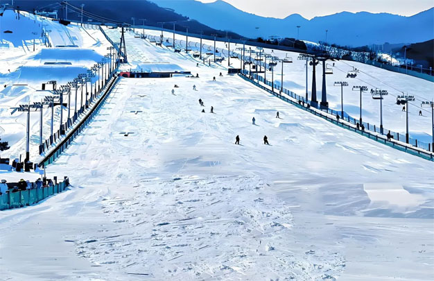 /uploads/image/2026/01/26/68abbb5e45d70d22fd361f7fdc11f8ae.jpg 修 2.jpg