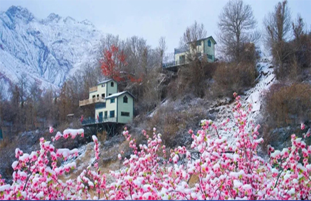 /uploads/image/2026/01/30/20881ff11ca02a66c7db827043852f3e.jpg 修 2.jpg