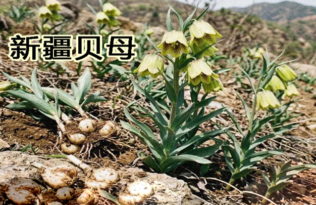 修 11.jpg