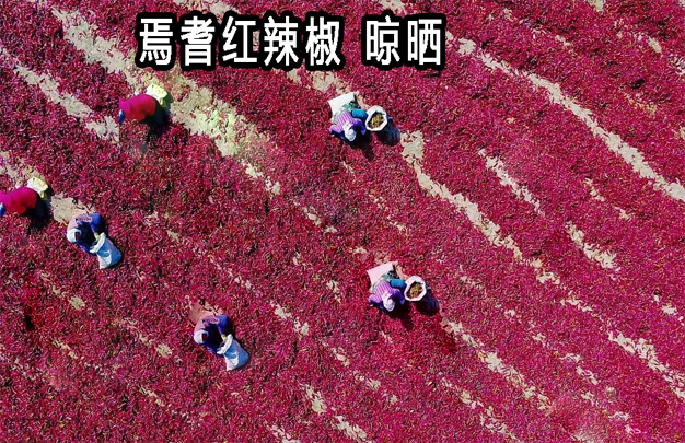 /uploads/image/2026/04/27/debb0187e06b2b15095cd2500572aa91.jpg 修 11.jpg