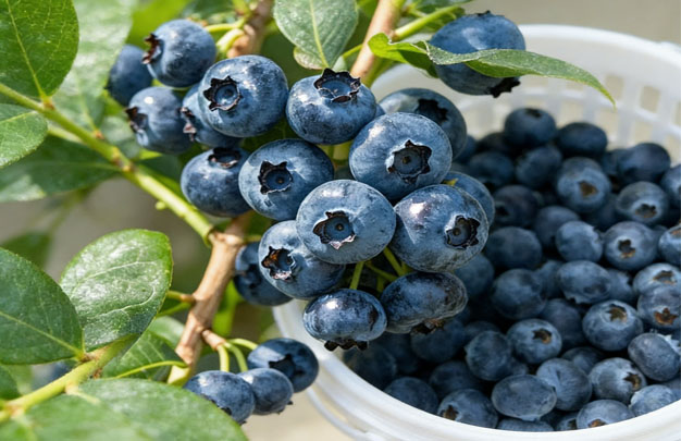 /uploads/image/2026/04/29/a1663de5c58a8a2da6938ab01e0e89db.jpg 修 10.jpg