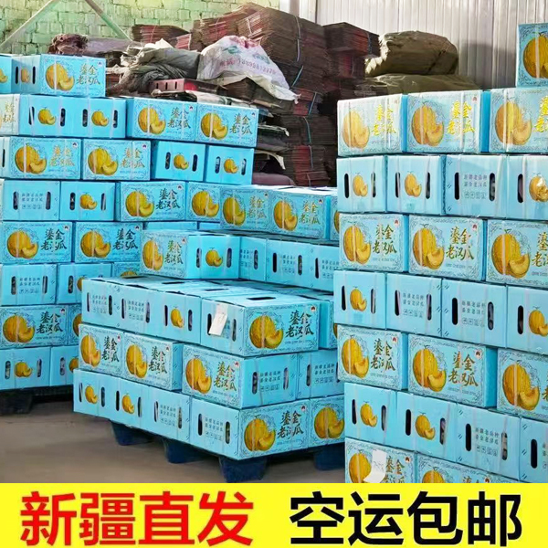 600修 8.jpg