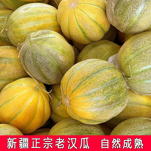 600修6.jpg