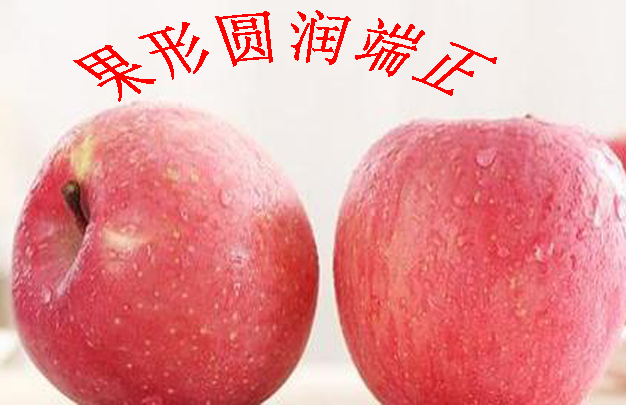 /uploads/image/2026/06/12/9ede21706fb8ad356dfb0b4a915e7d0b.jpg 修 3.jpg