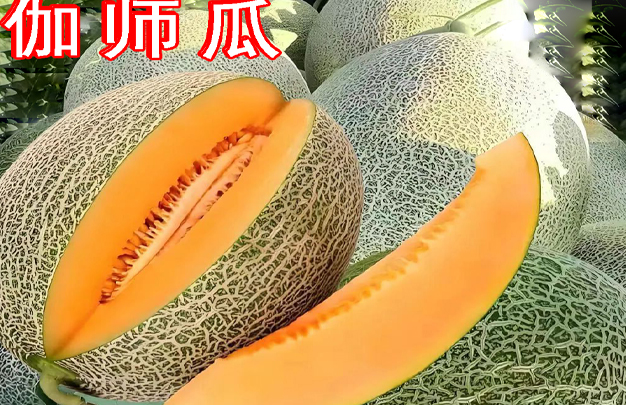 修 21.jpg