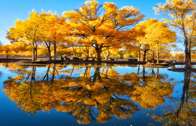 /uploads/image/2026/10/14/959f961f664ce406c3c3c895f57b7d24.jpg 修塔里木 0.jpg