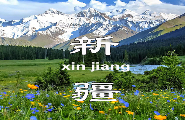 K11